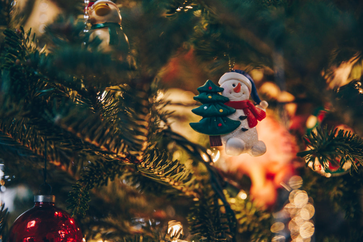 Sapin illuminé