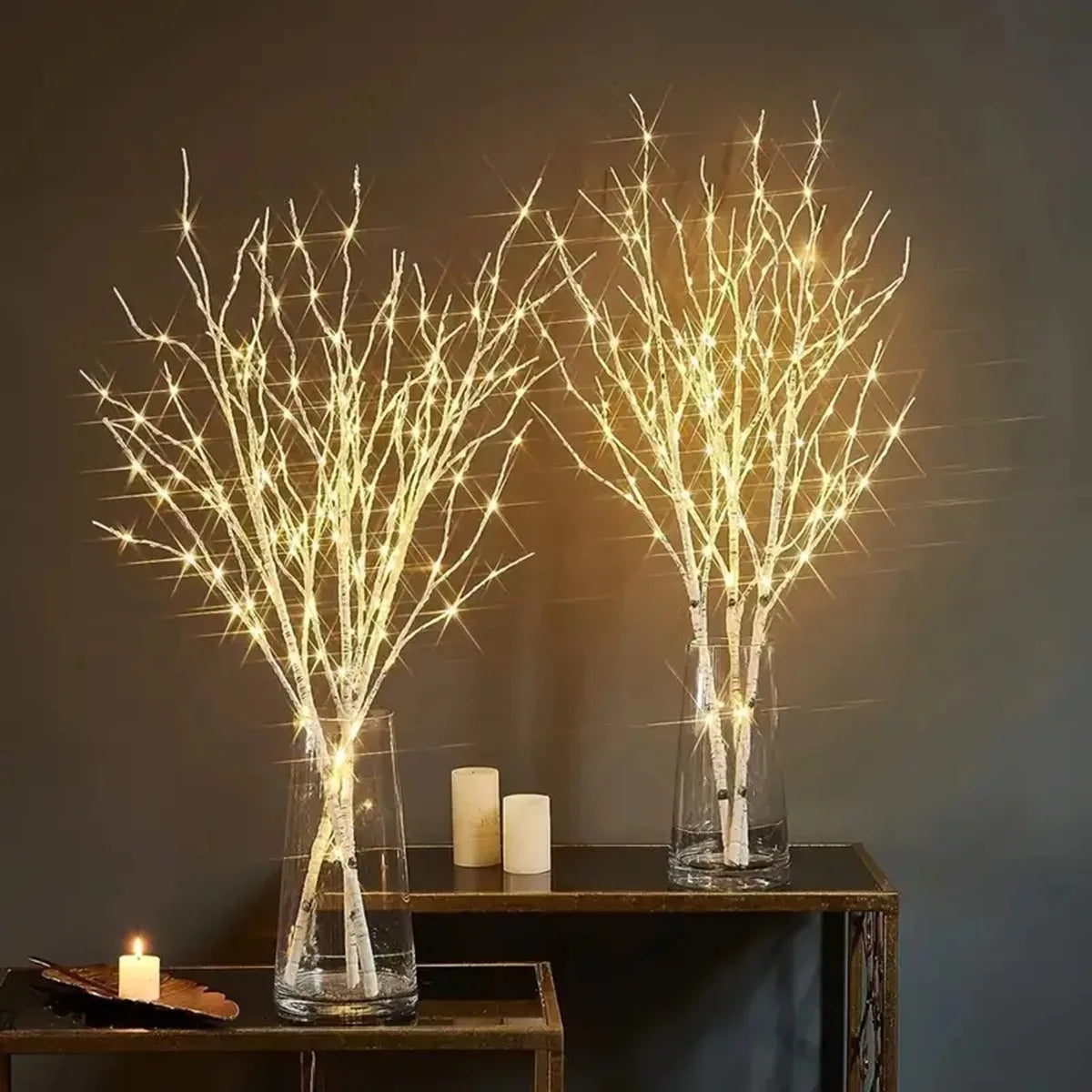 Branches de bouleau lumineuses